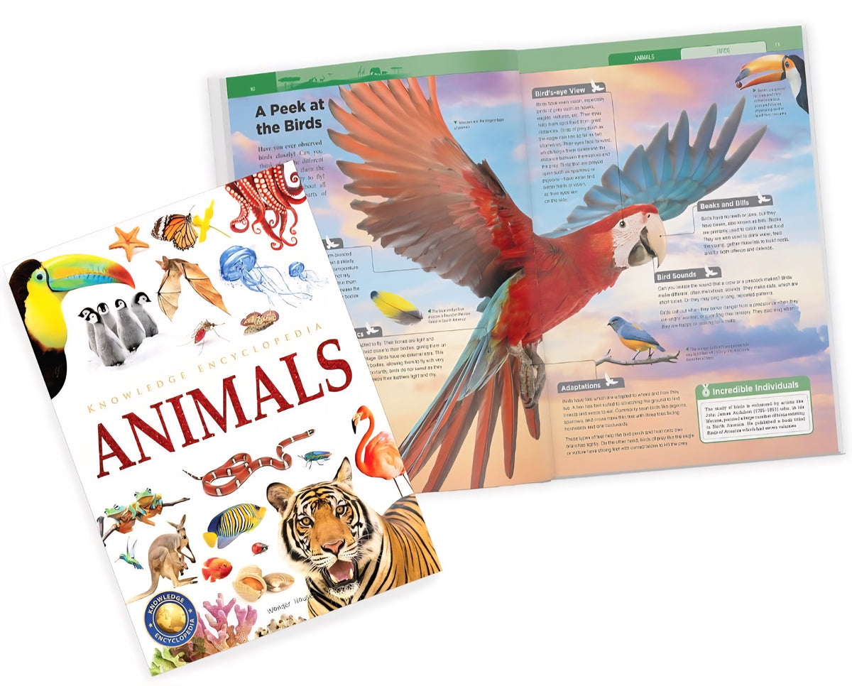 Knowledge Encyclopedia 8-Book Box Set | Animals, Human Body, Science, Space & World History | Children's Educational Reference Books|Paperback