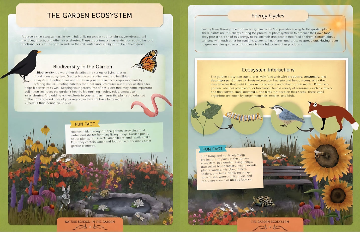 Nature Scool: In the Garden