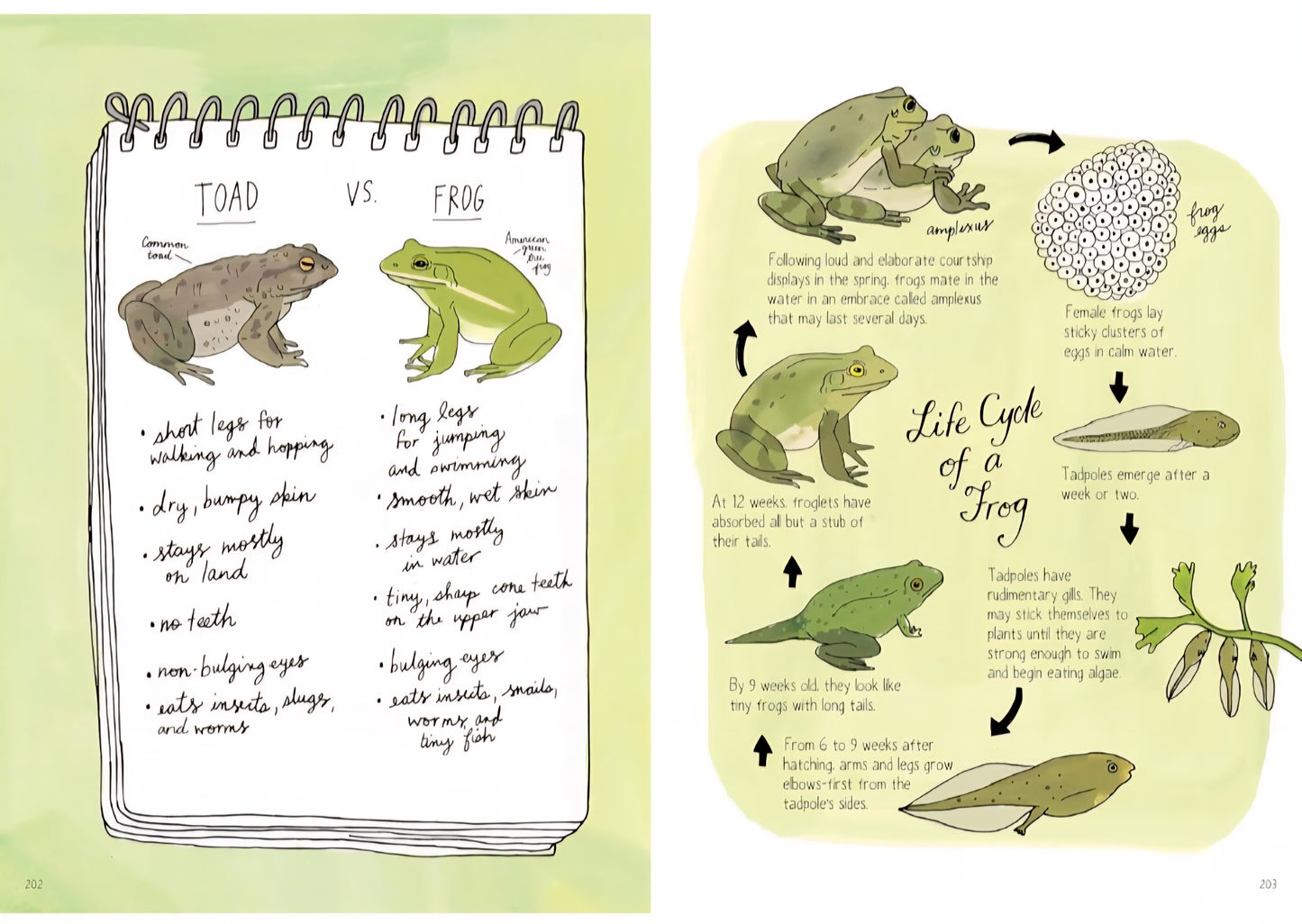 Nature Anatomy: The Curious Parts & Pieces Of The Natural World