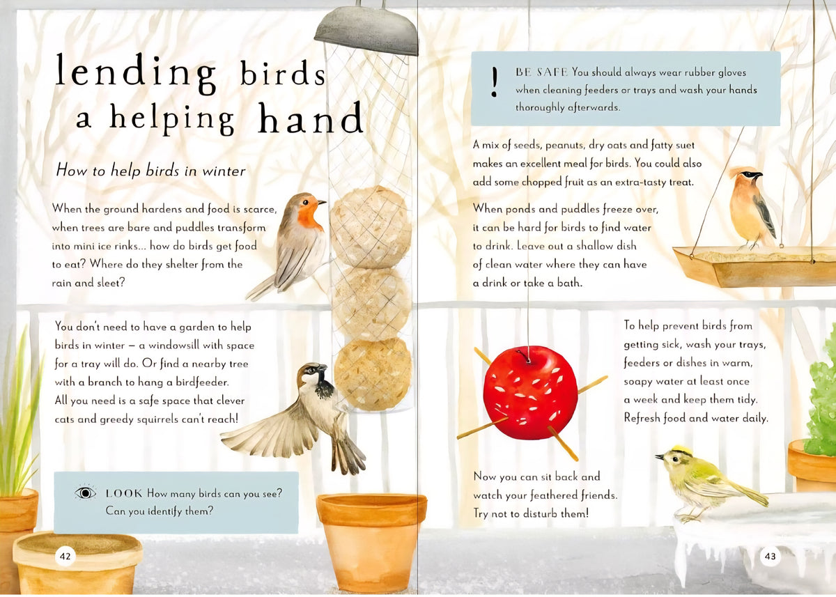 A Field Guide to Winter | Nature Study, Wildlife & Seasonal Outdoor Activities