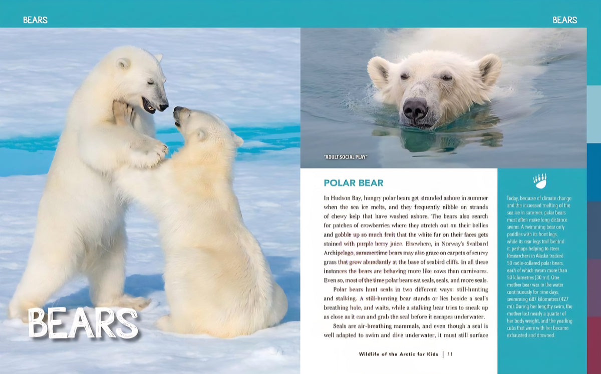 Polar Animals & Adaptations Study Kit