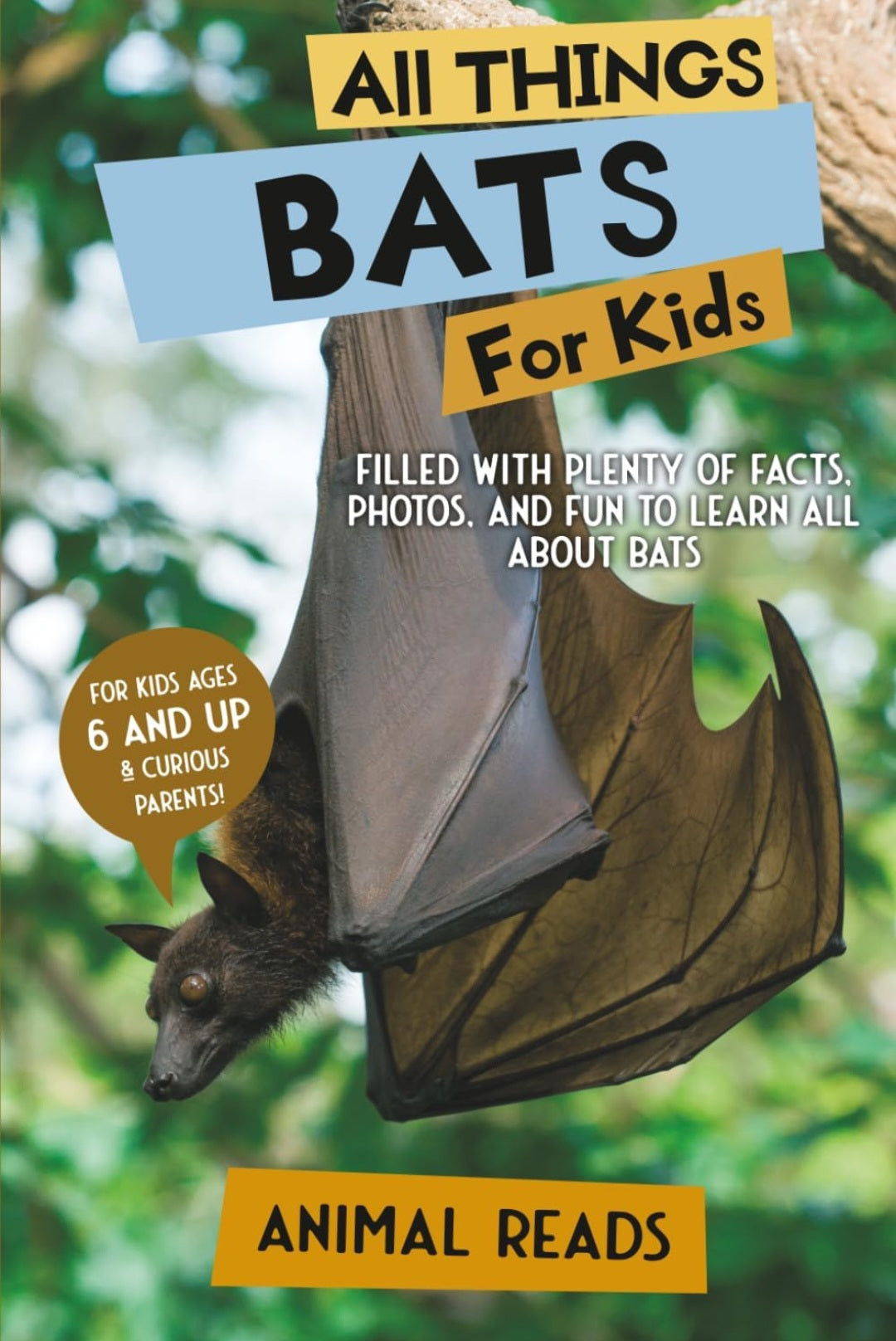 All Things Bats Study Kit