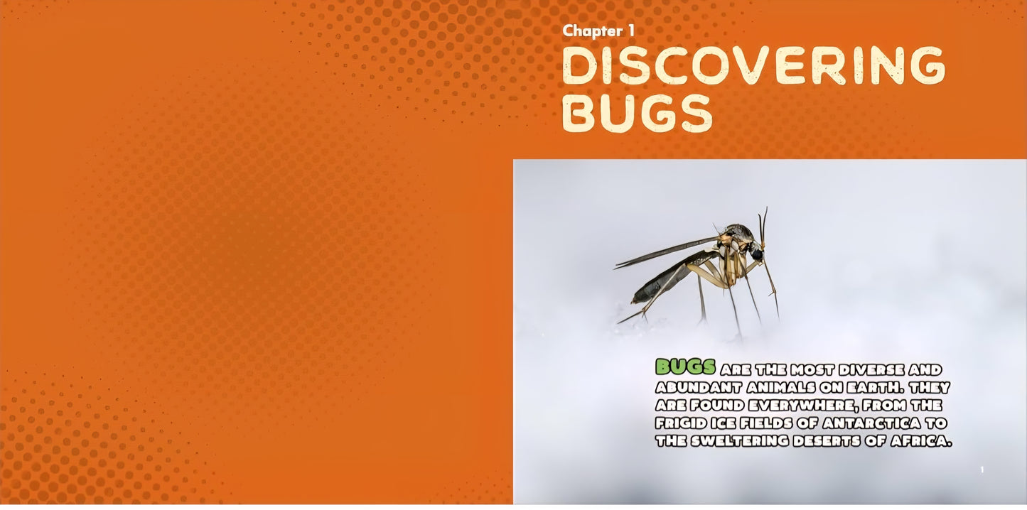 Bug Explorer Kit