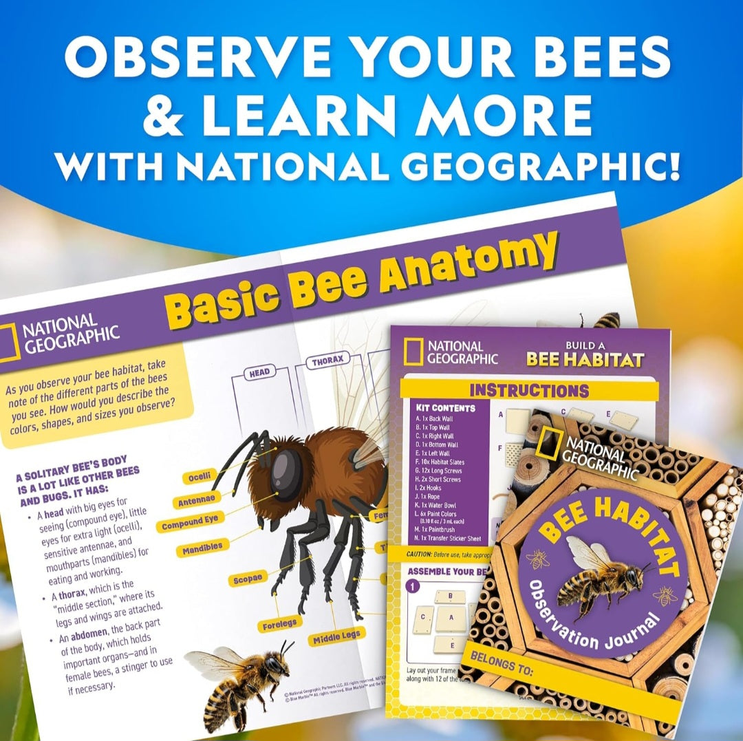 National Geographic Build a Bee Habitat|Pollinator & Nature Science Kit