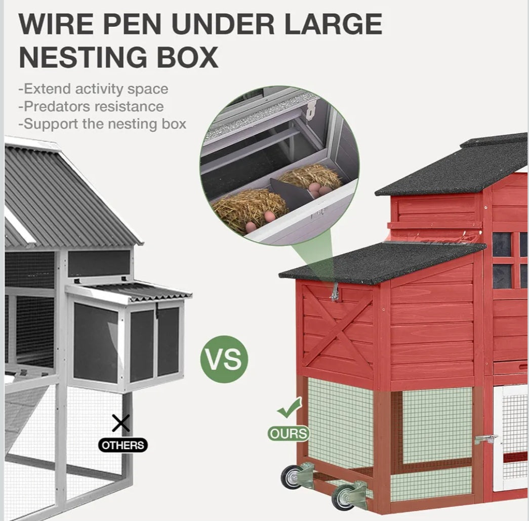 Chicken Coop|Chicken Husbandry & Animal Science