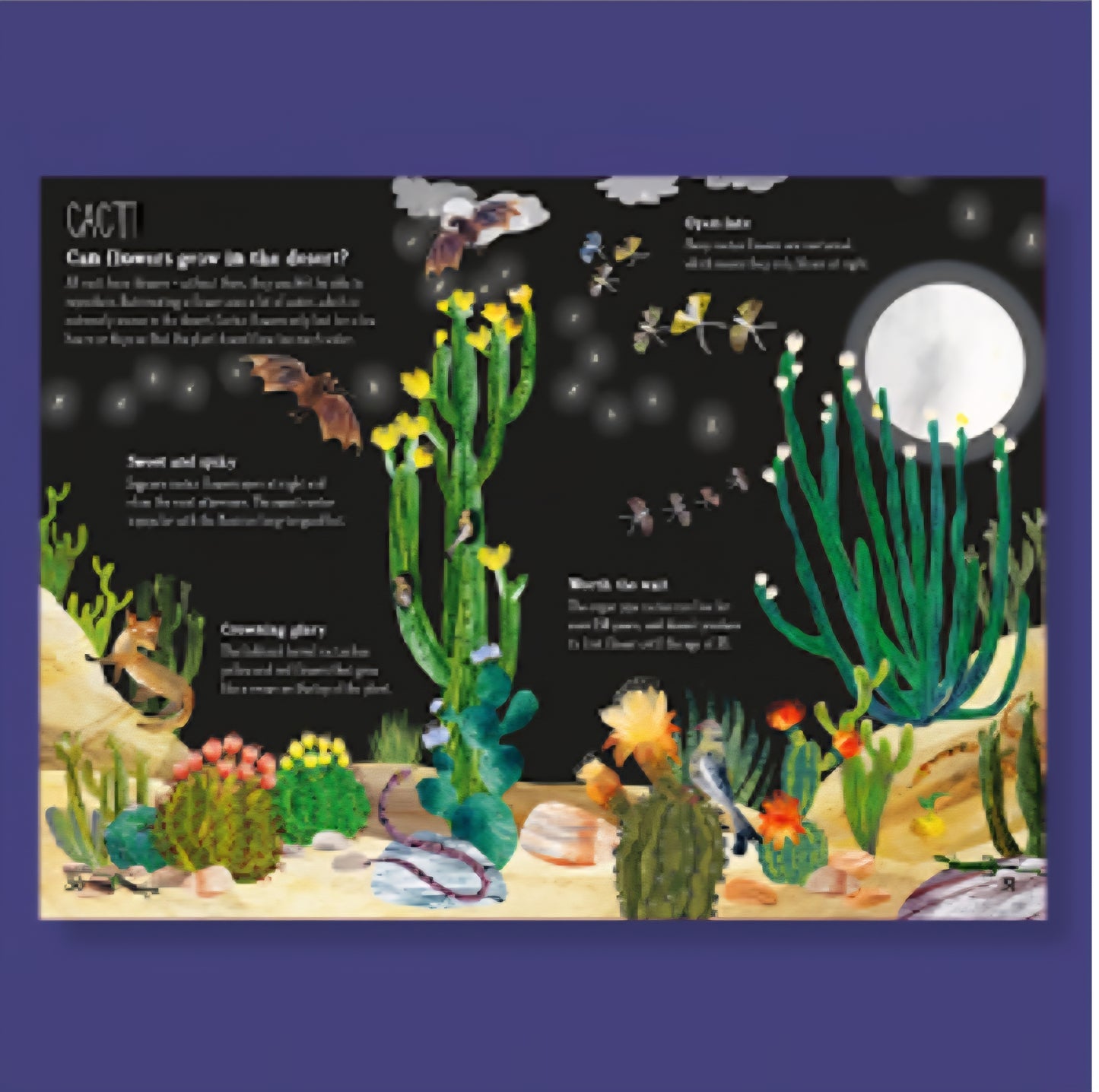 The Big Book Of Blooms