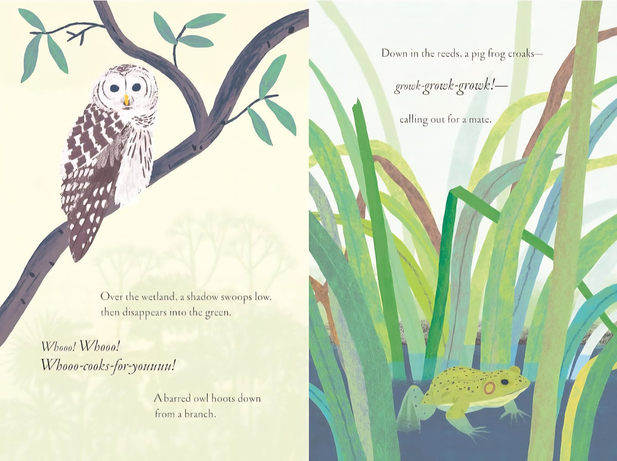 Over and Under the Wetland|Hardcover