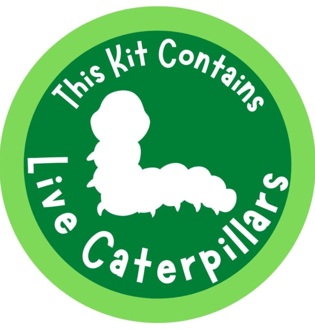 Insect Lore Caterpillar Habitat With LIVE Caterpillars Project