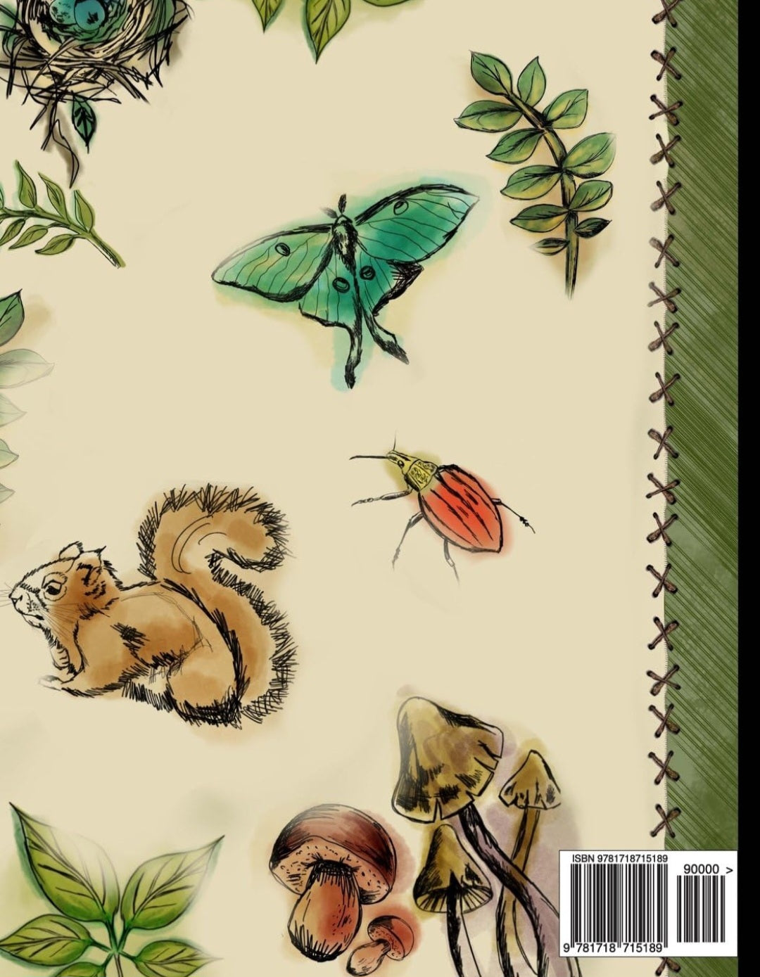 Nature Journal for Kids | Outdoor Observation, Nature Drawing & Science Activities