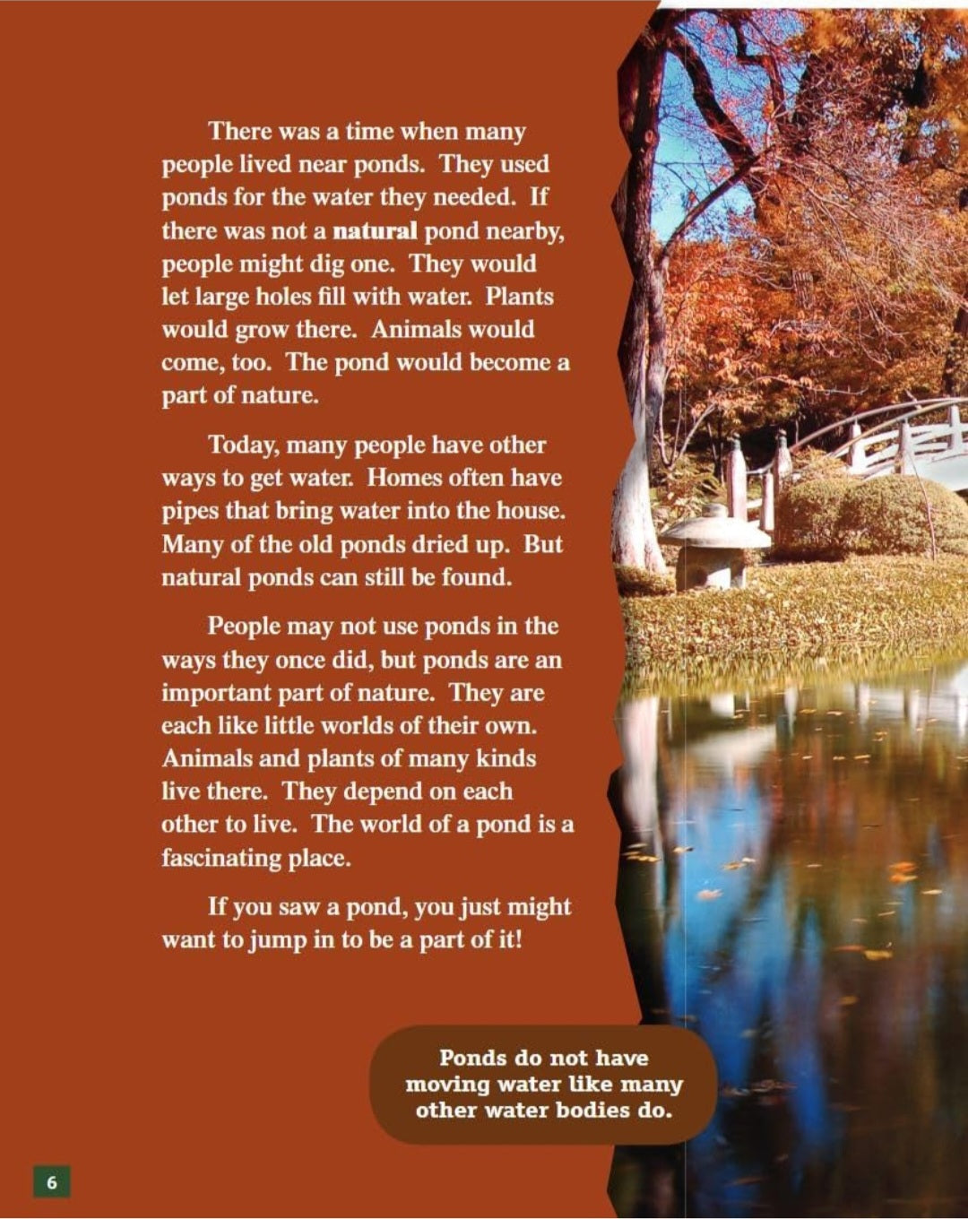 Pond Study Kit