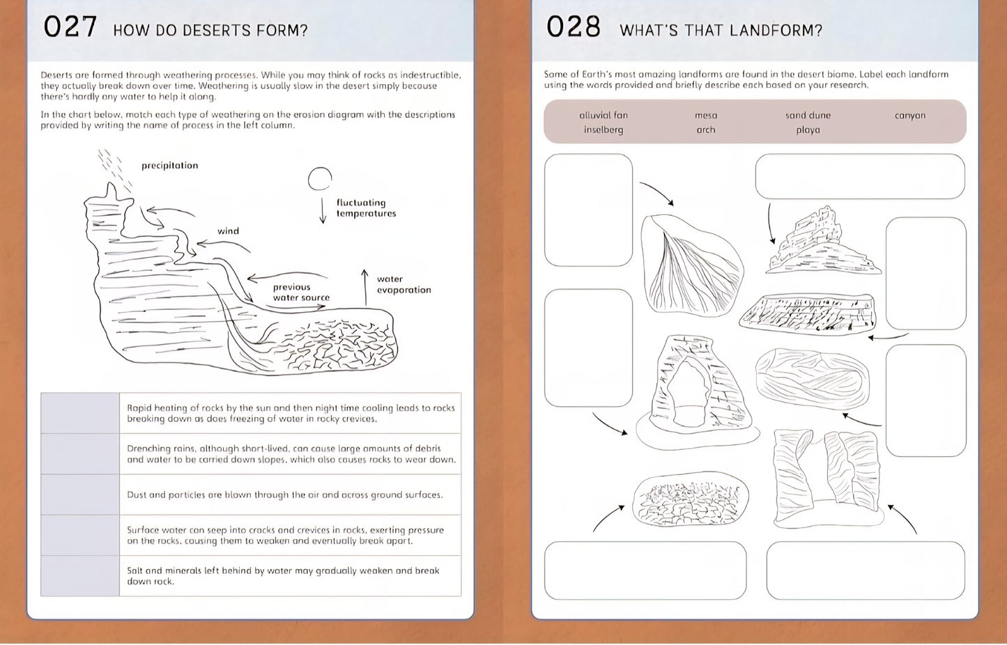 Nature School Activity Book