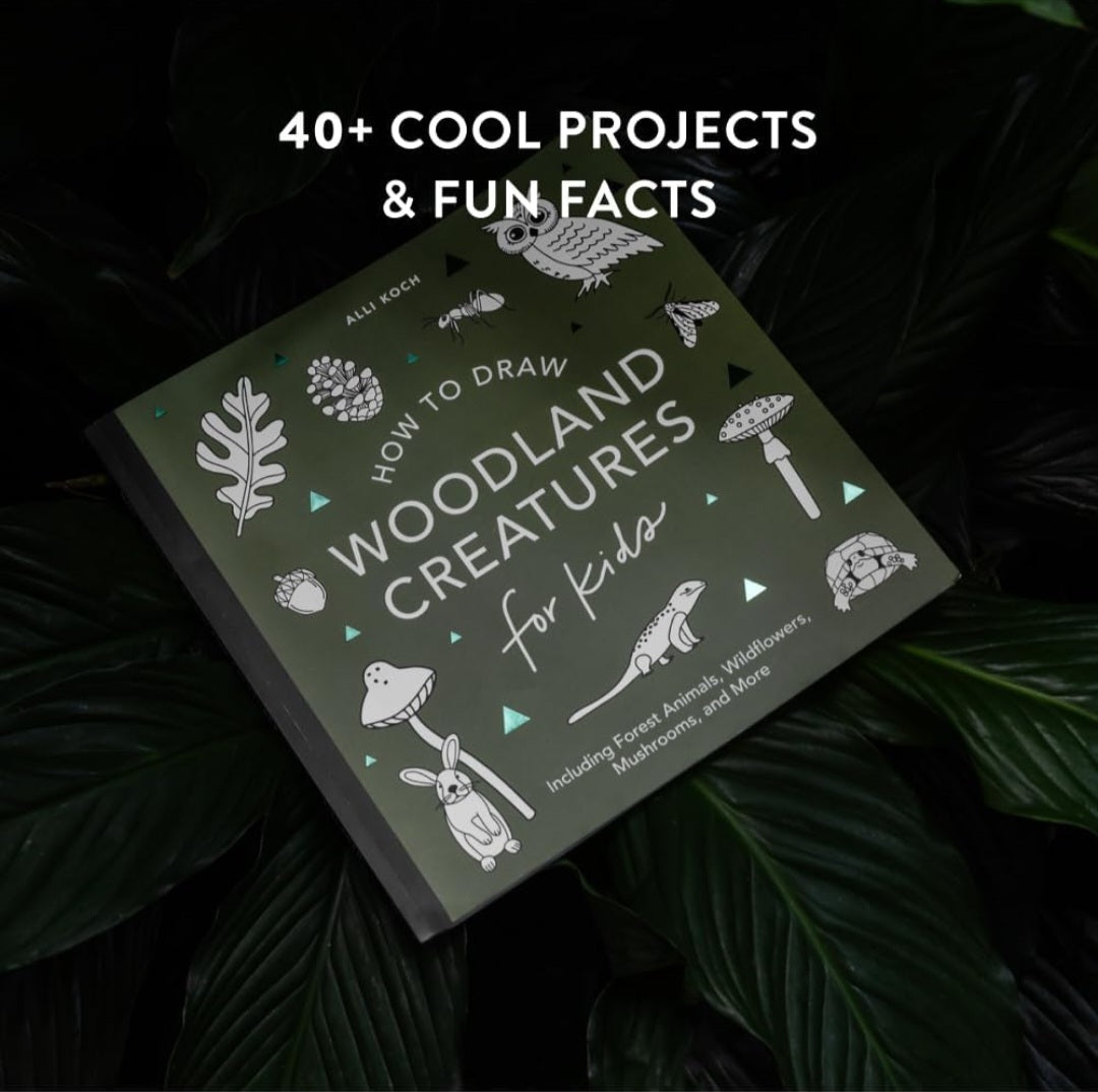 How To Draw Woodland Creatures Activity Book