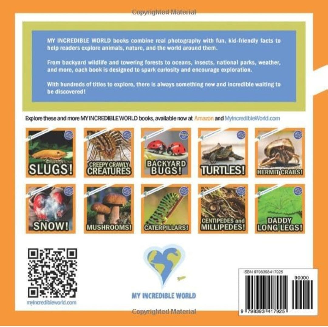 Animals 3-in-1 Build & Learn Kit | LEGO® + Animal Books (Frogs, Snails & Turtles)