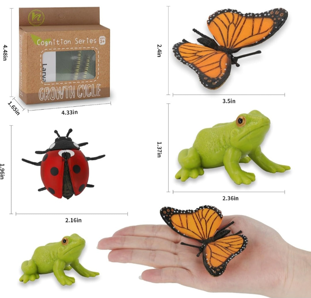 Life Cycles Learning Set (Butterfly, Frog, Ladybug)