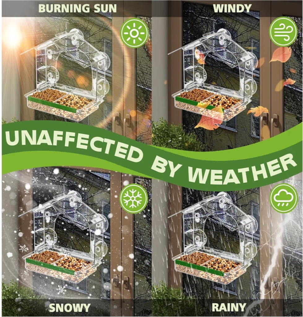Backyard Bird Study Kit