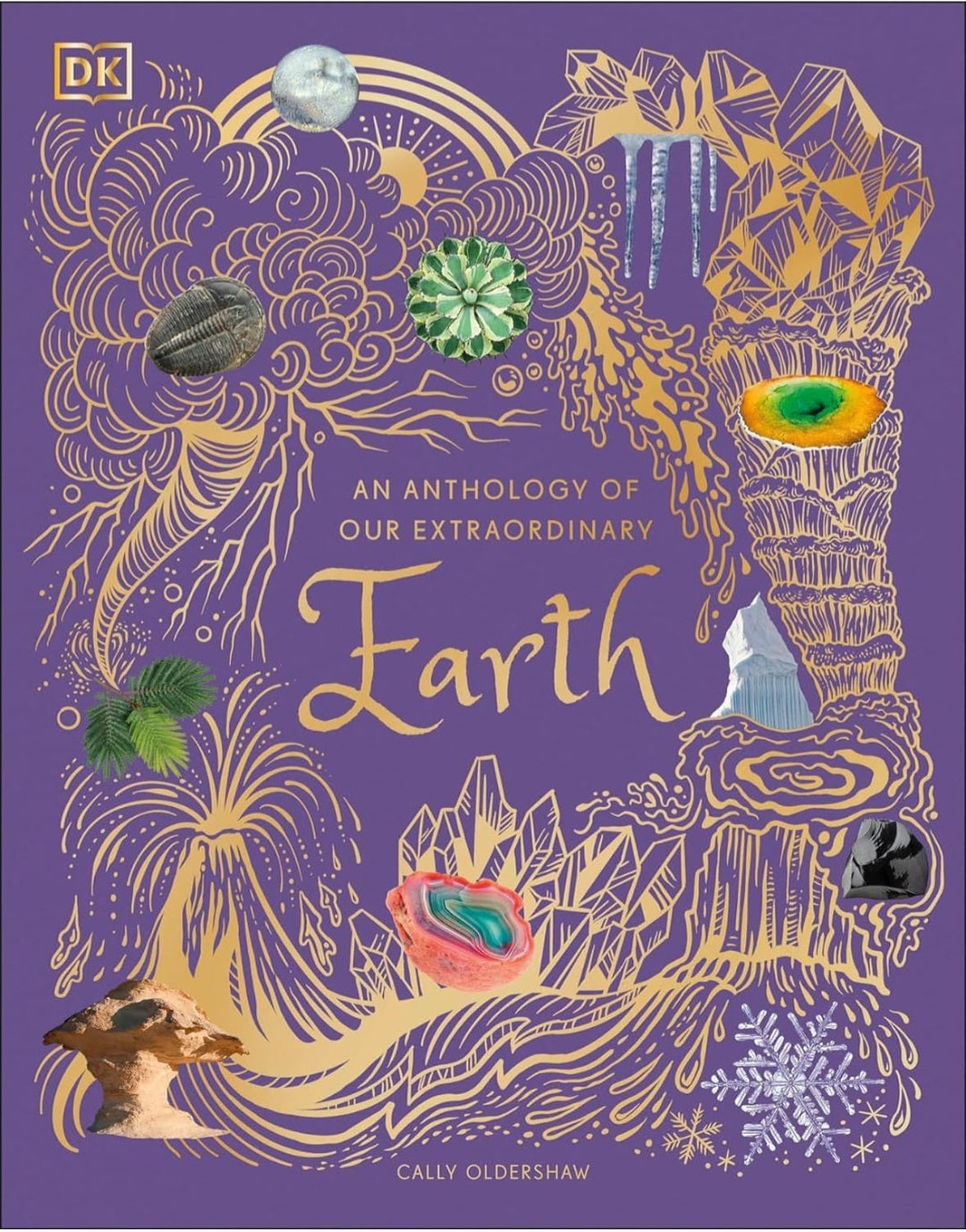 6 Book Anthology Set
