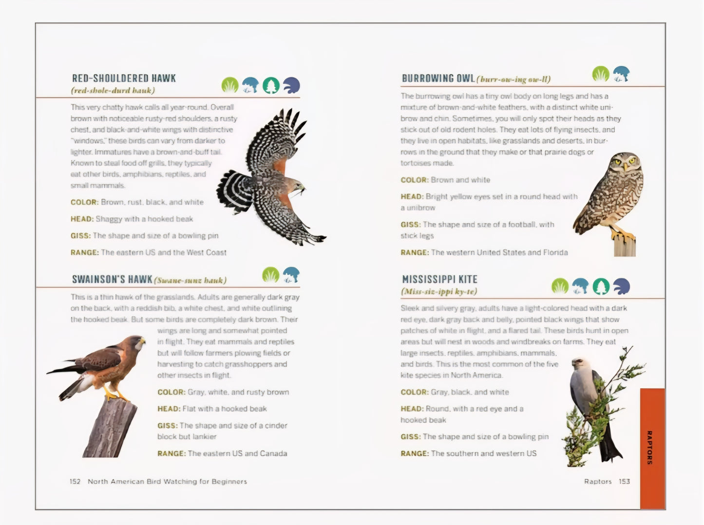 Backyard Bird Book Bundle