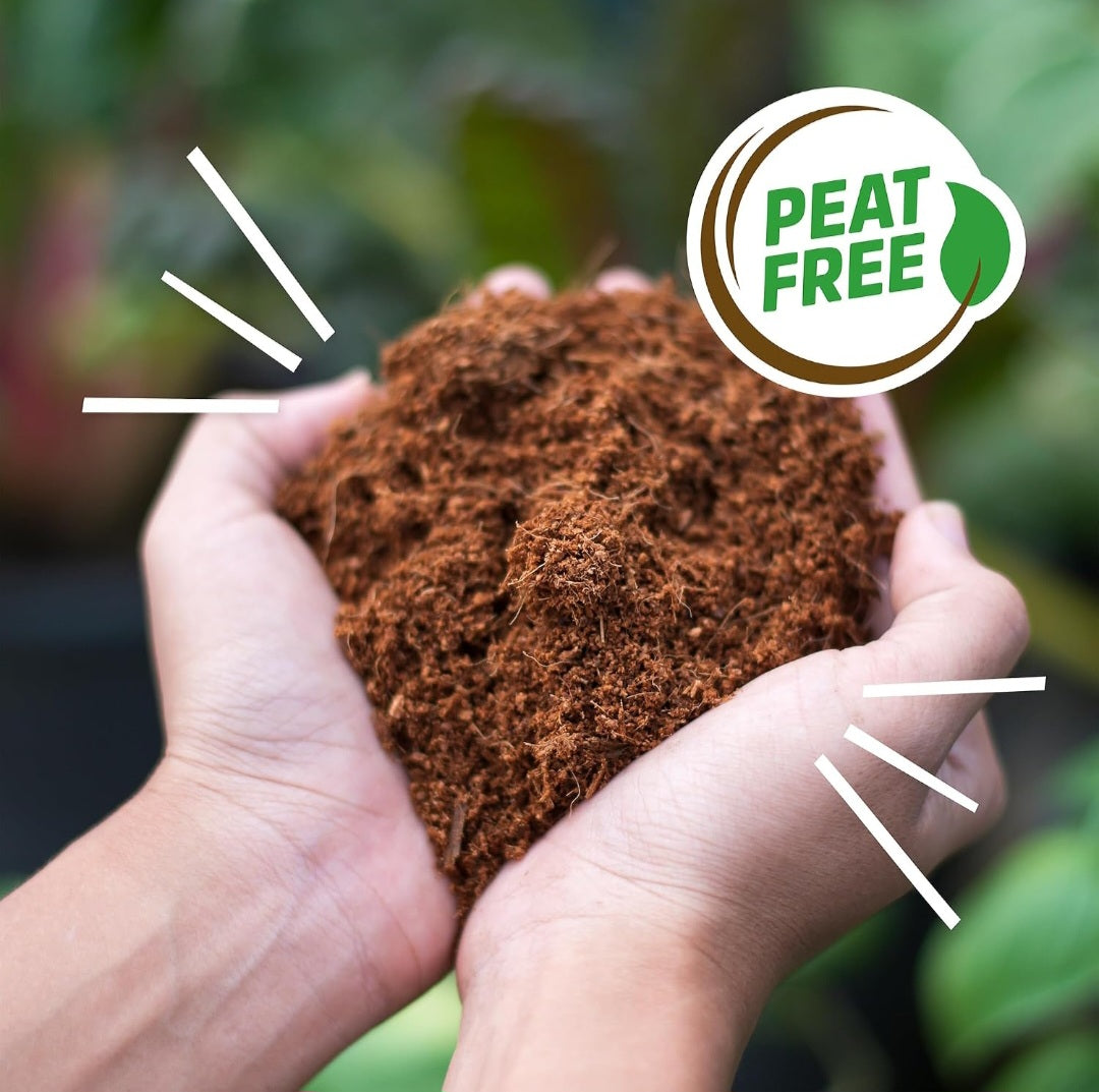 Back to the Roots Organic Coconut Coir Potting Soil | 51-Quart Expanding Growing Medium for Seed Starting & Plant Science