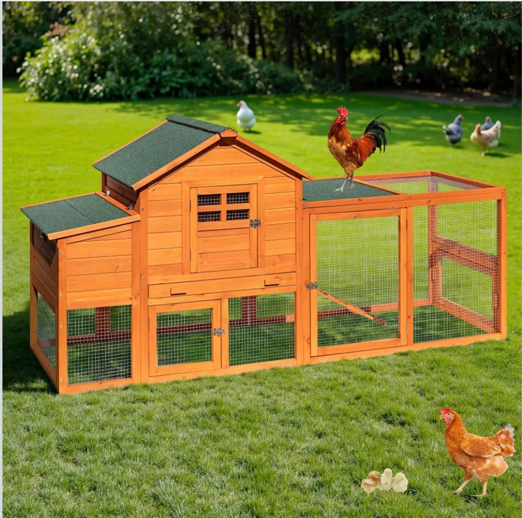 Chicken Coop|Agricultural Learning & Poultry Science