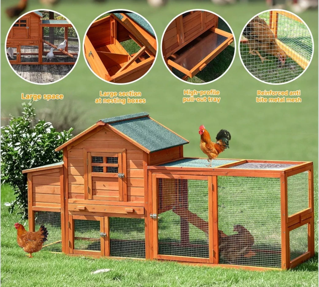 Chicken Coop|Agricultural Learning & Poultry Science