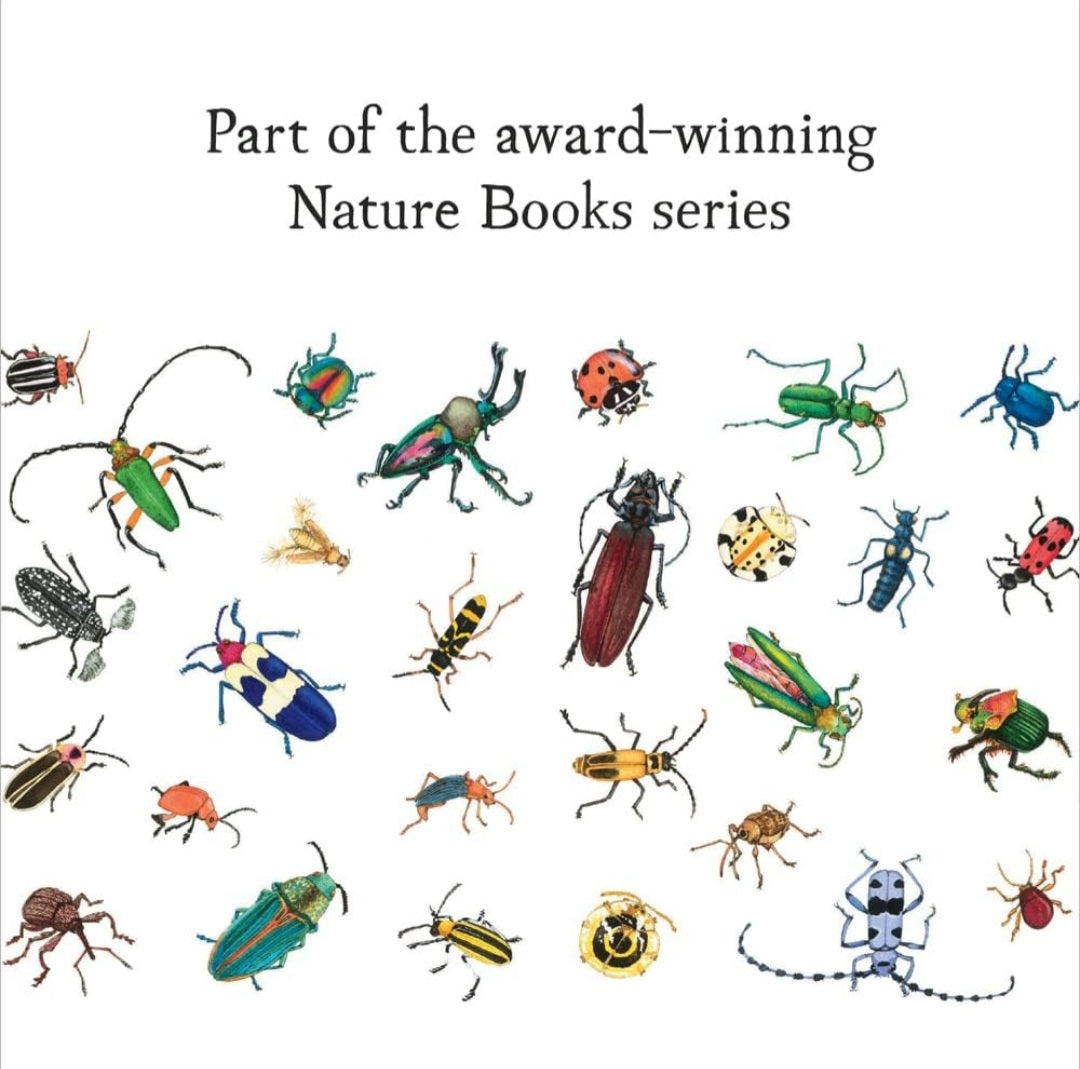 Nature’s Wonders Book Collection | 7 Illustrated Books on Seeds, Insects, Birds, Rocks & Natural Life Cycles