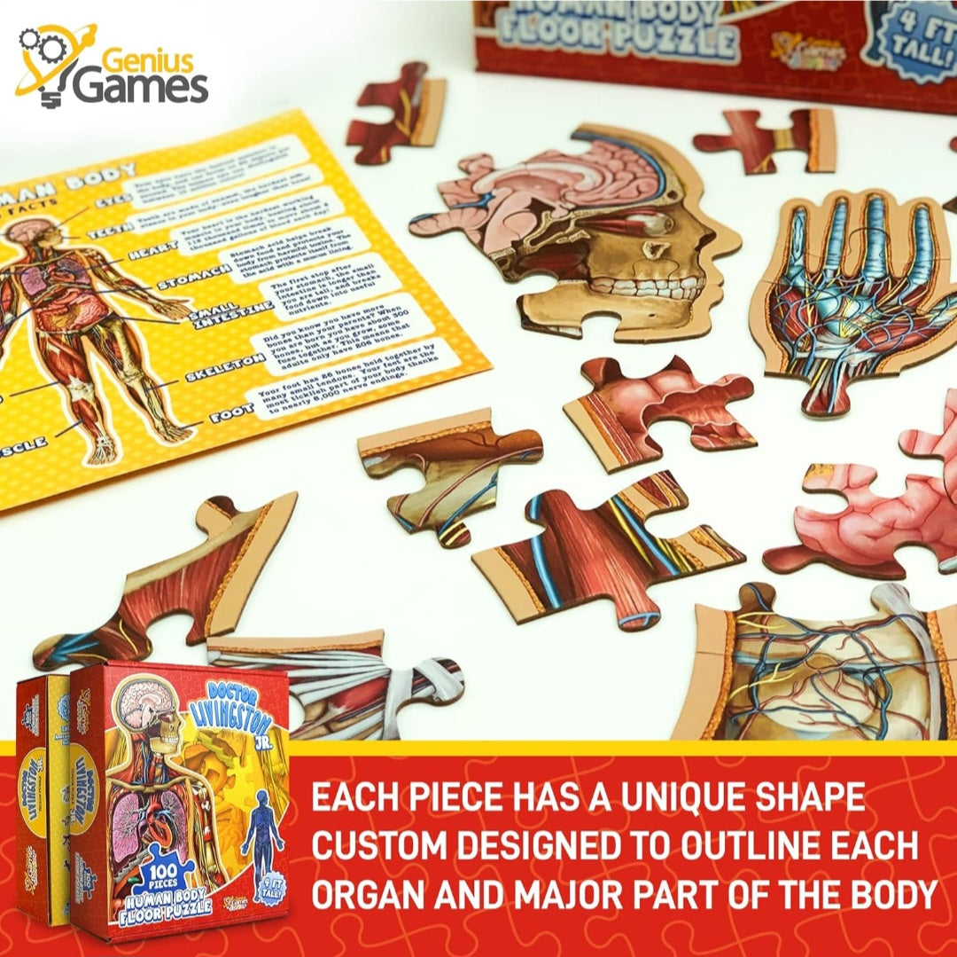 Human Body Study Kit