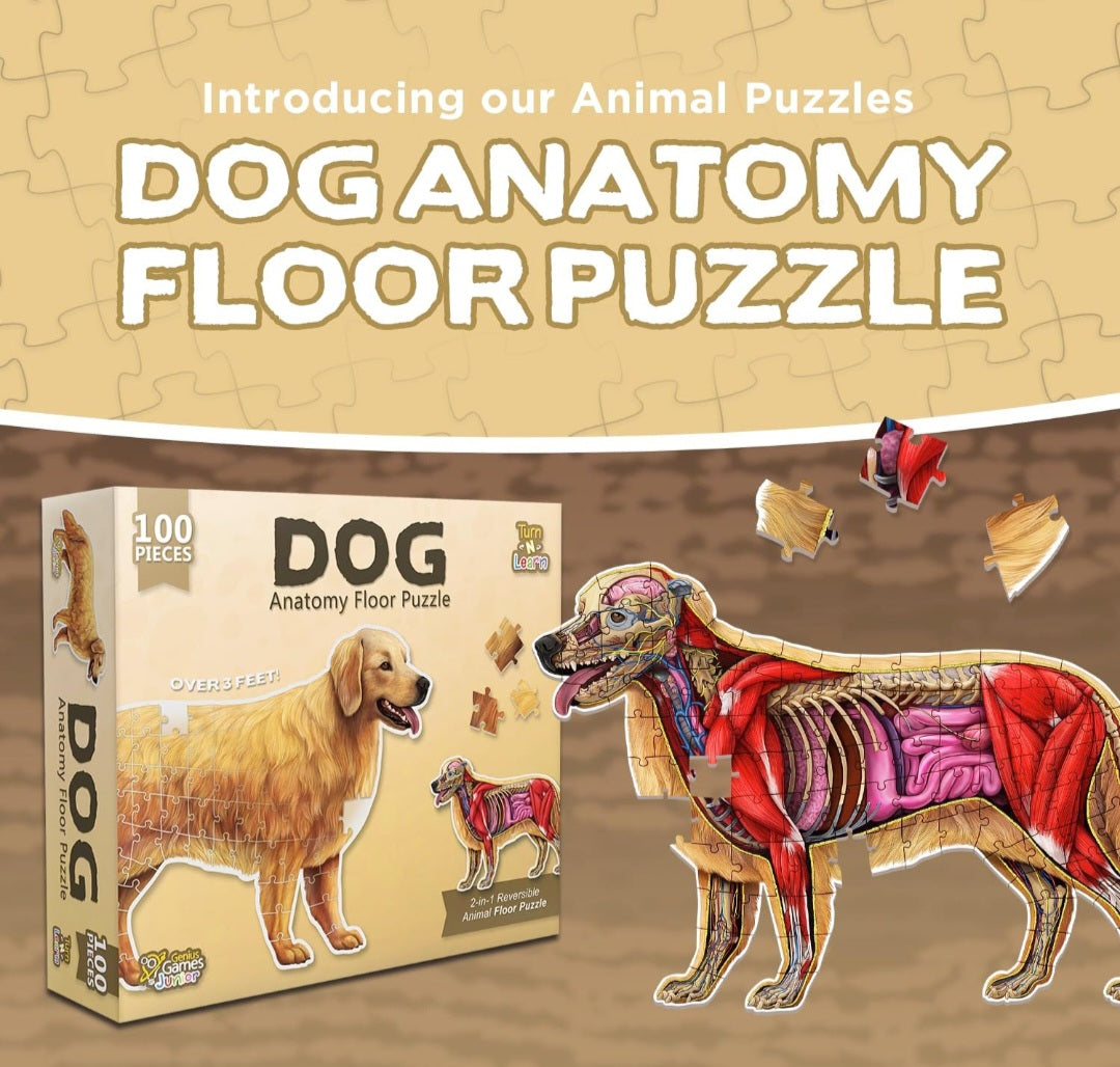 Dog Animal Anatomy Floor Puzzle|100-Piece Double-Sided Puzzle