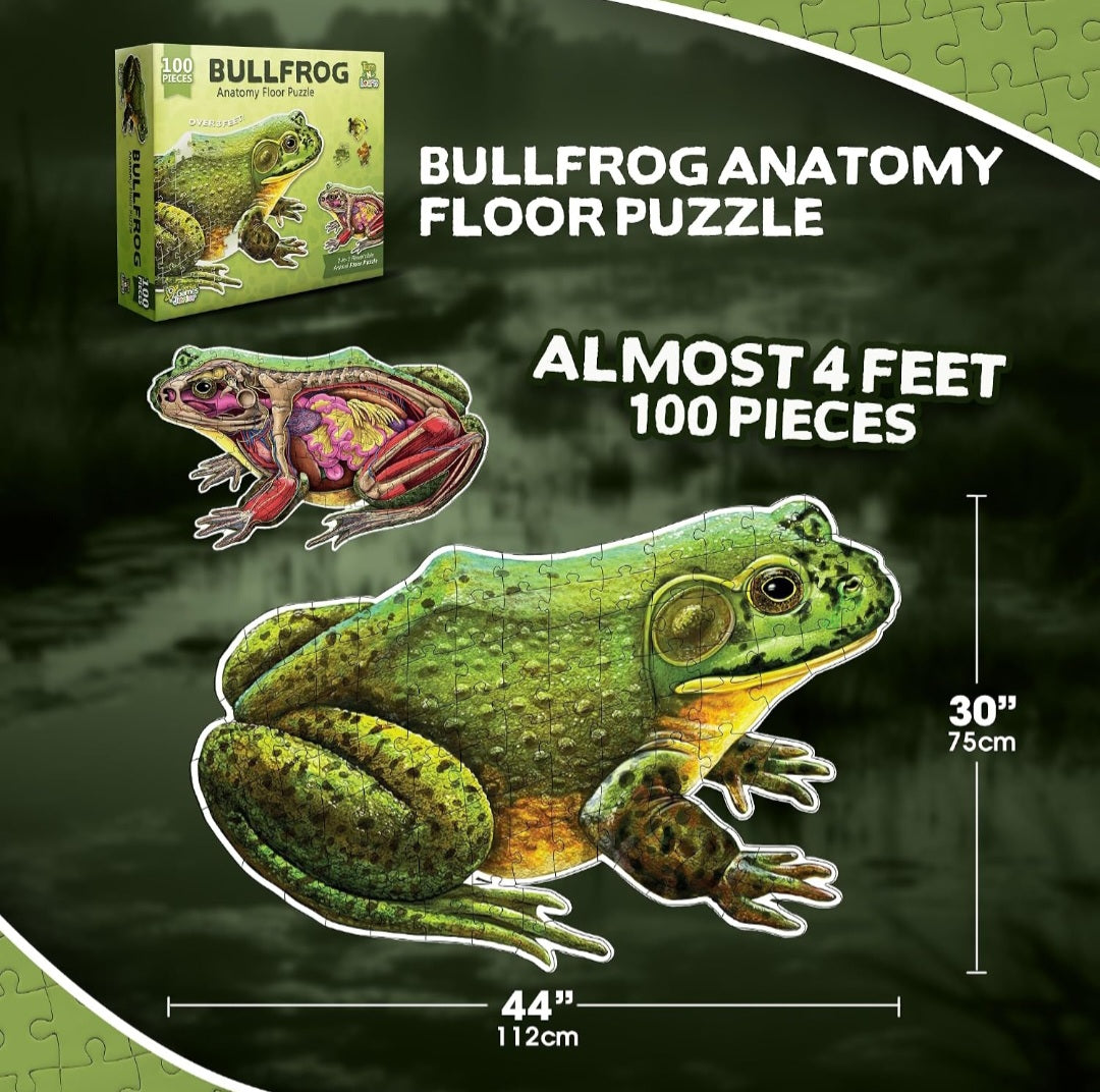 Bullfrog Anatomy Floor Puzzle – 100-Piece Double-Sided Life-Size Frog Puzzle