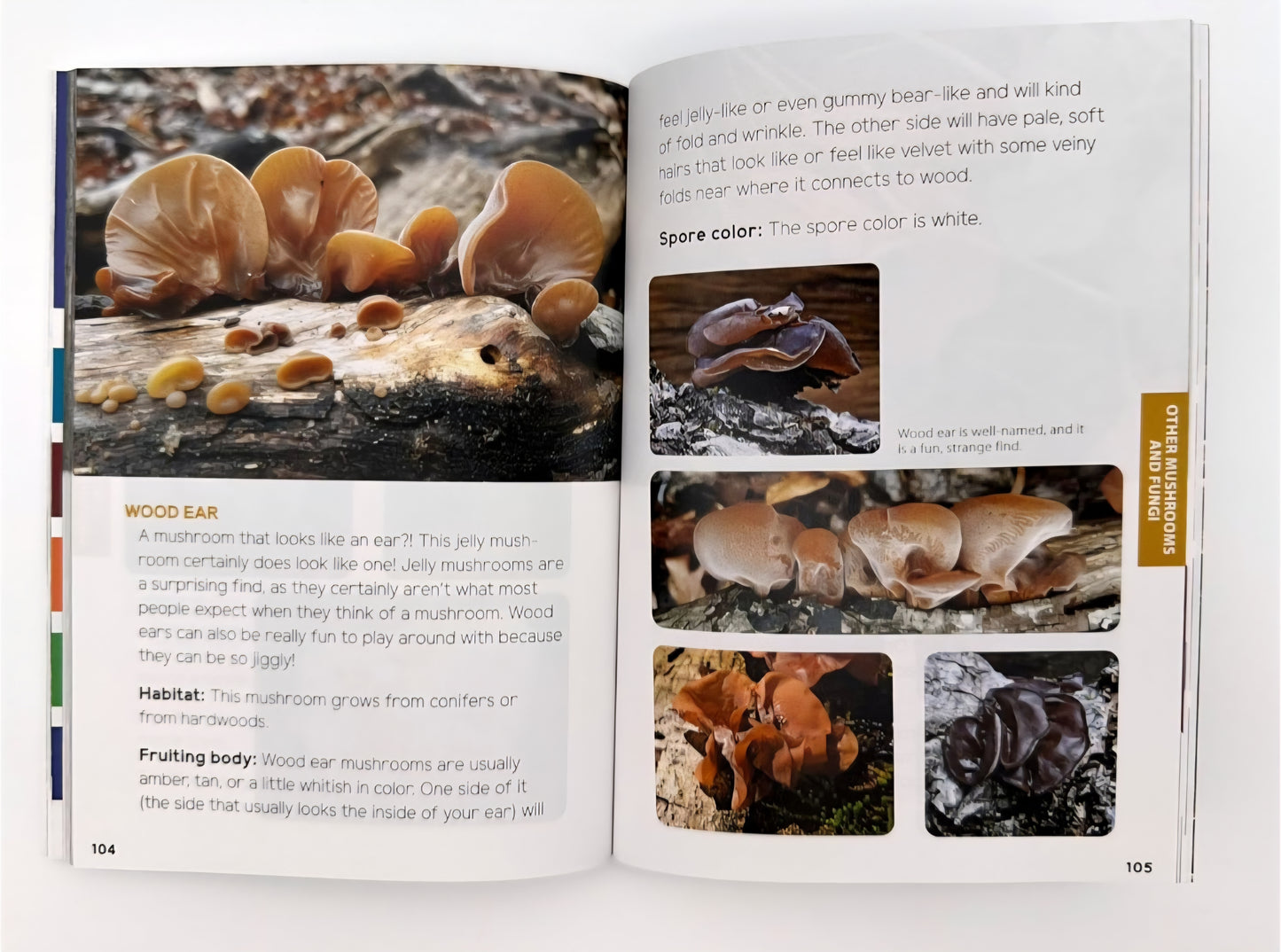 Mushrooms & Fungi Book Bundle