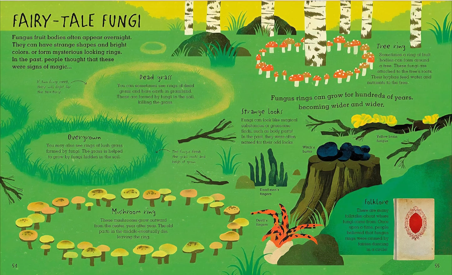 Mushrooms & Fungi Book Bundle