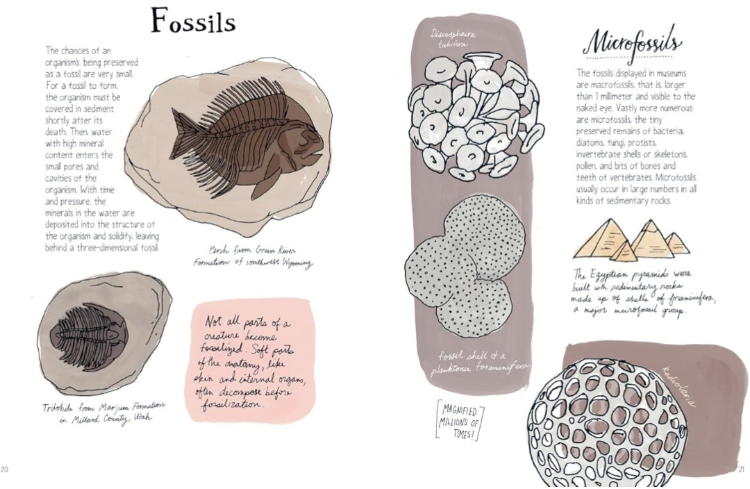 Nature Anatomy: The Curious Parts & Pieces Of The Natural World