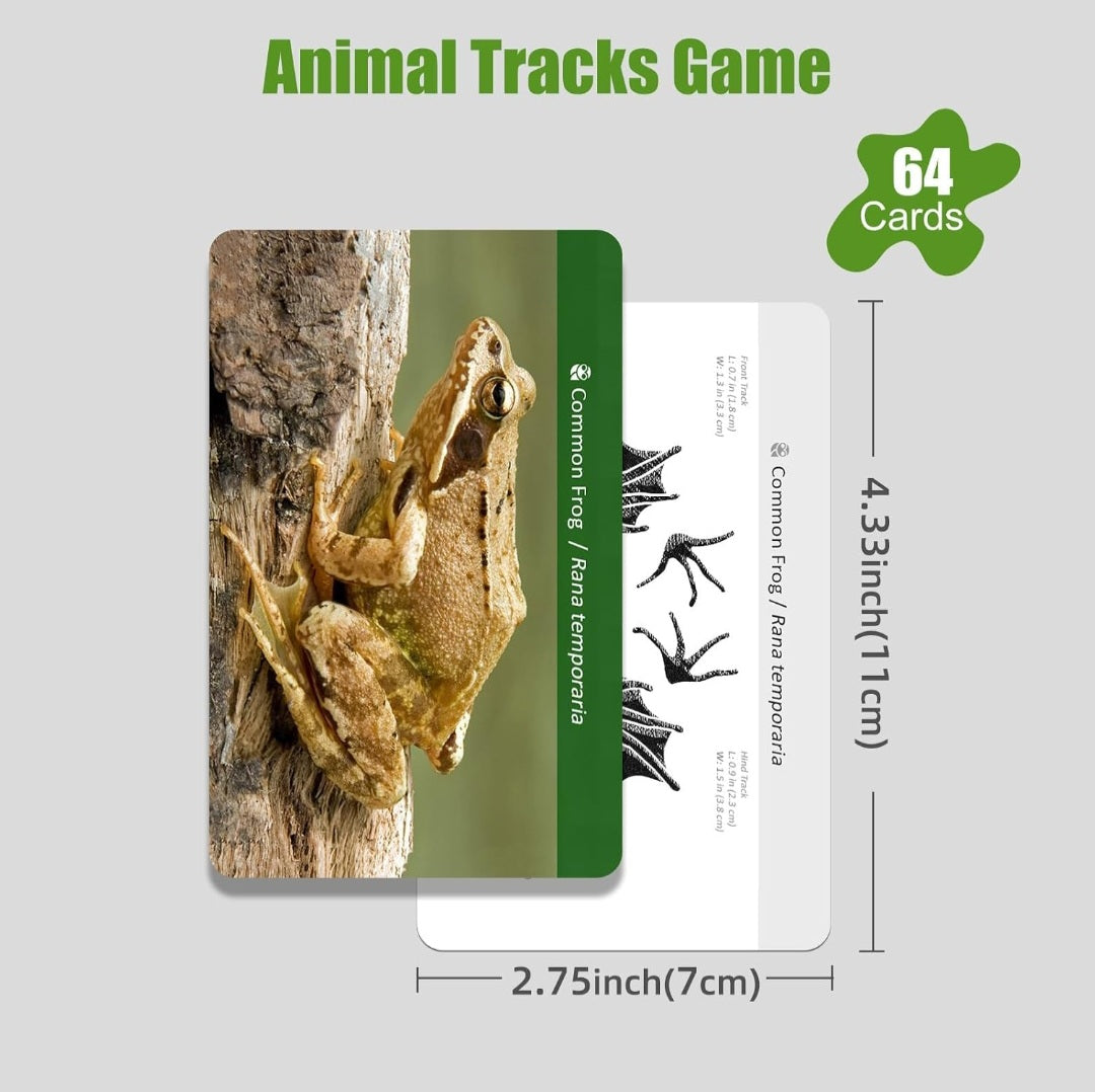 Animal Tracks Study Kit