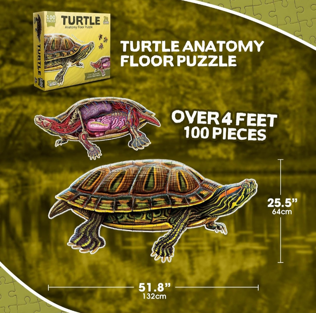 Turtle Animal Anatomy Floor Puzzle|100-Piece Double-Sided Puzzle