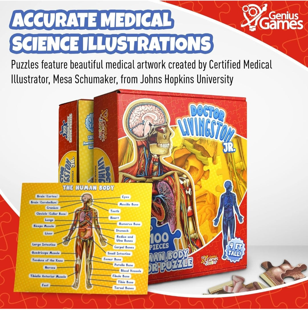 Human Body Study Kit