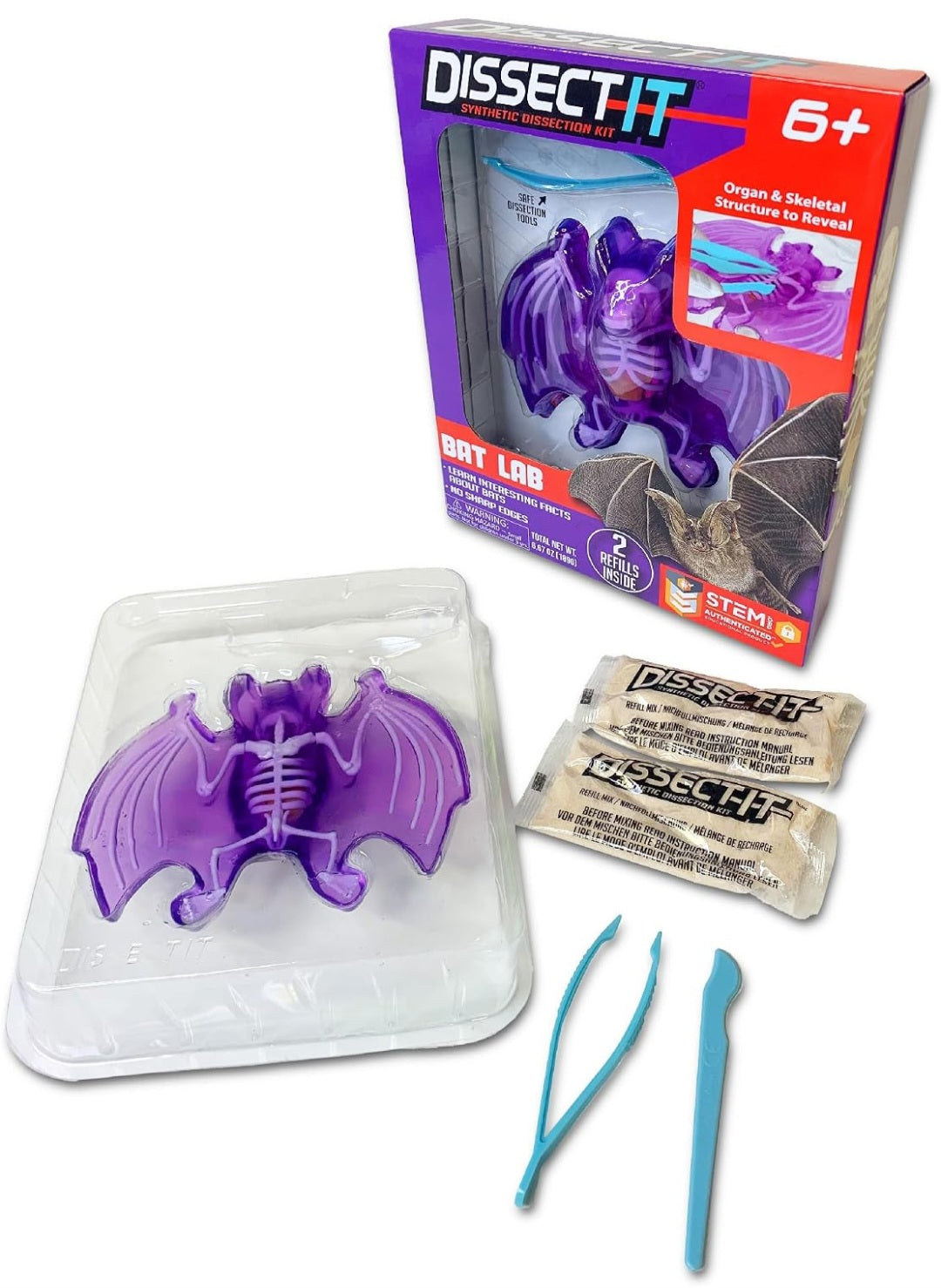 All Things Bats Study Kit
