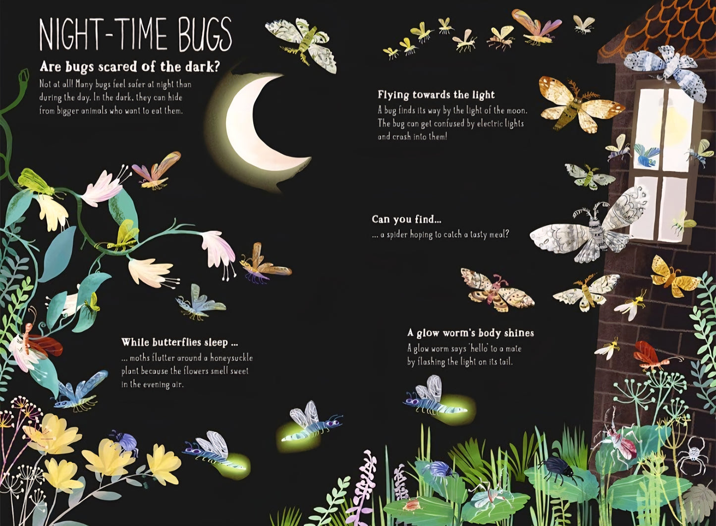 The Big Book Of Bugs
