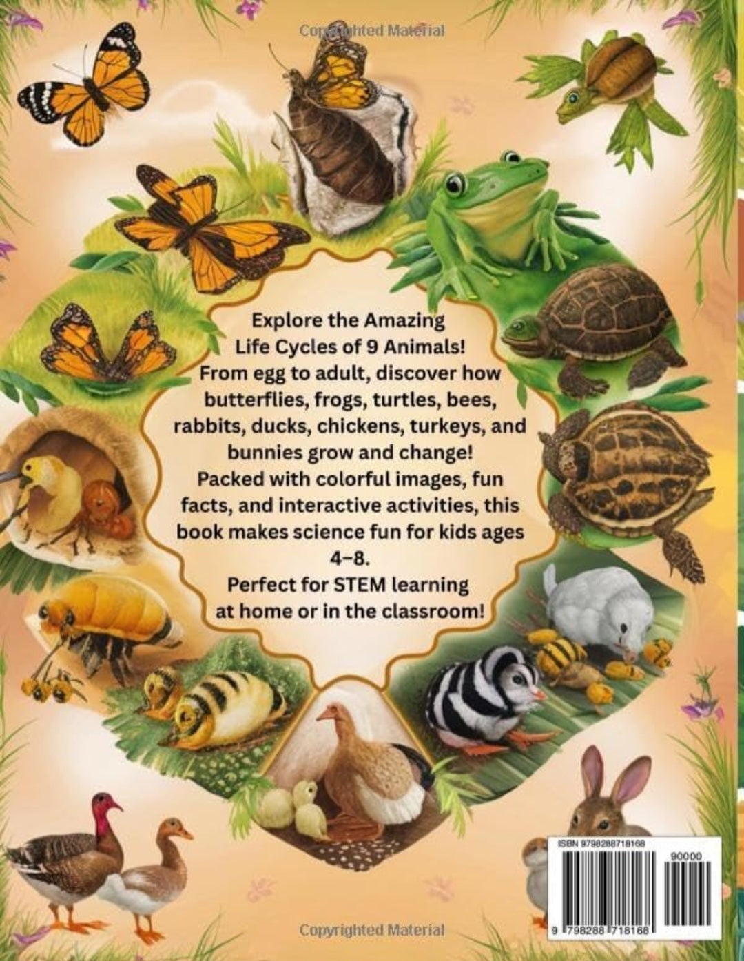 Life Cycles Book Bundle