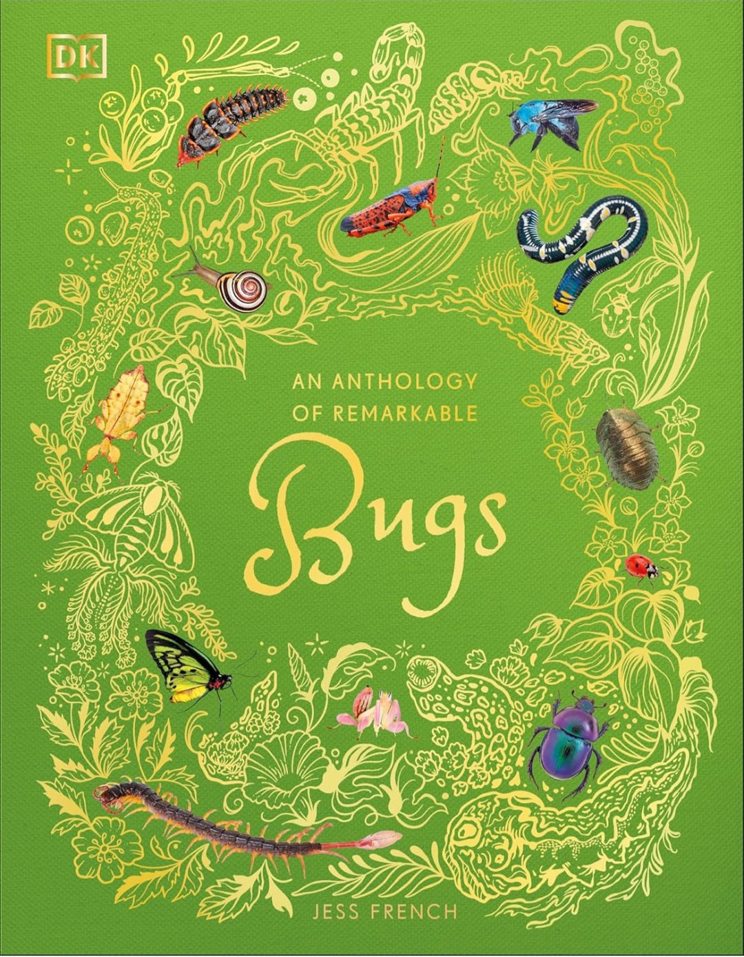 Insects and Bugs Book Bundle