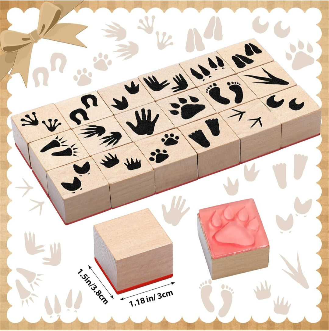 Animal Tracks Study Kit