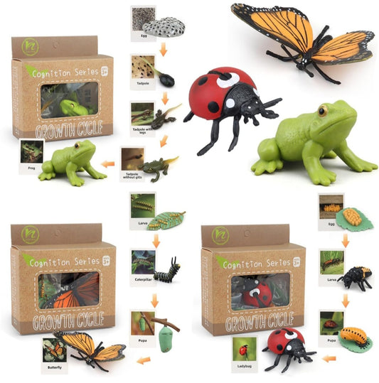Life Cycles Learning Set (Butterfly, Frog, Ladybug)