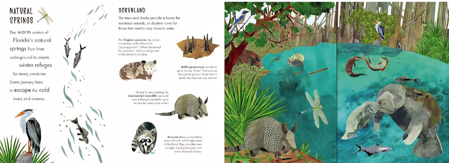 Animal Habitats Book Bundle