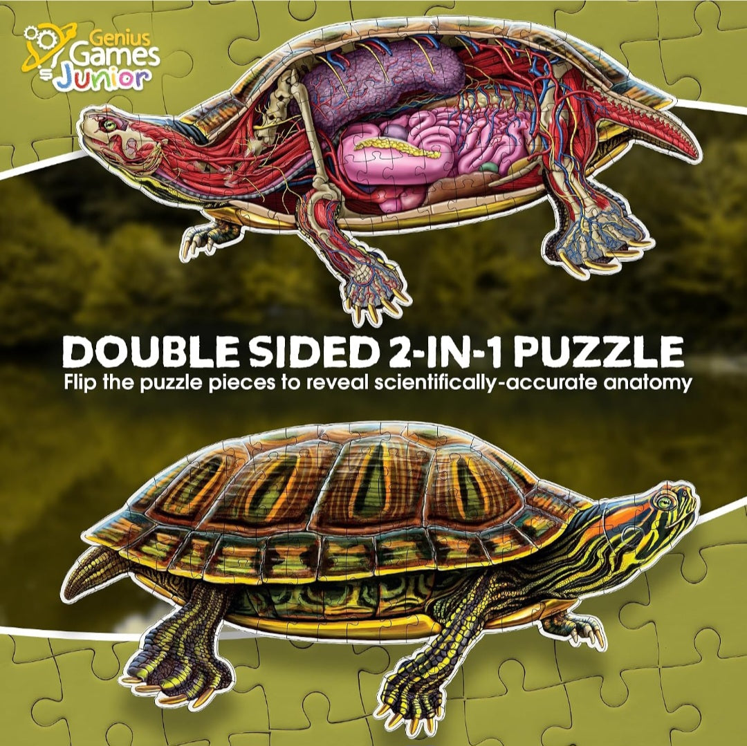 Turtle Animal Anatomy Floor Puzzle|100-Piece Double-Sided Puzzle