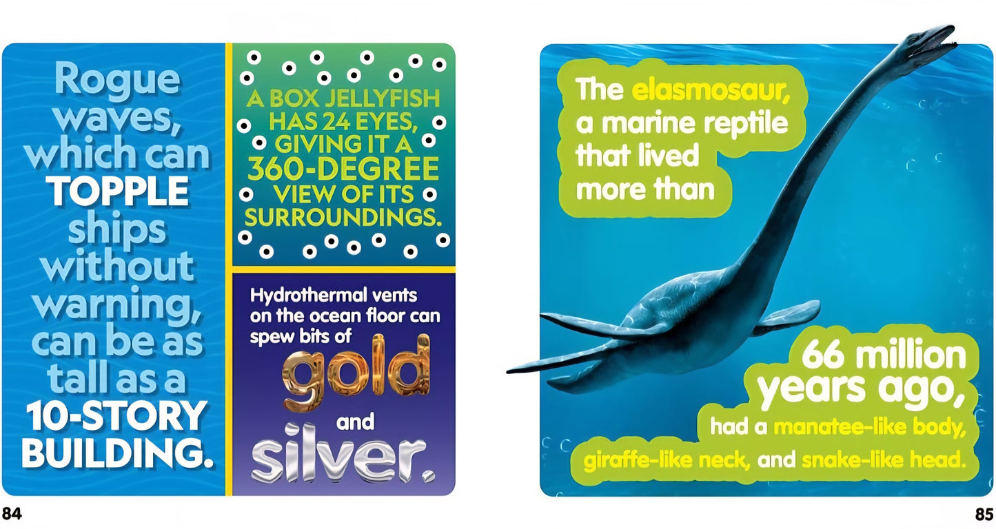 Ocean Life Book Bundle