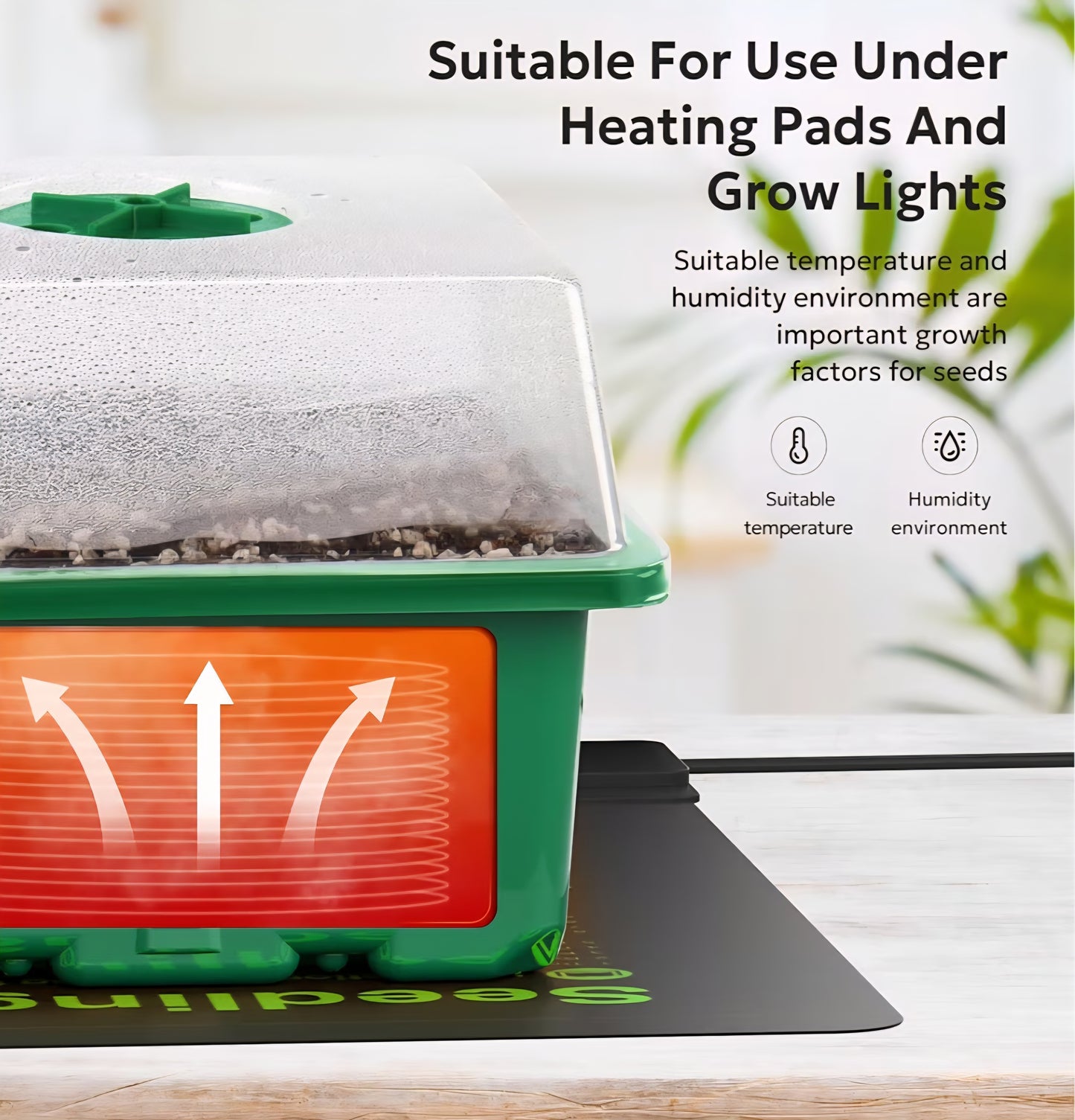 Seed Starting Kit
