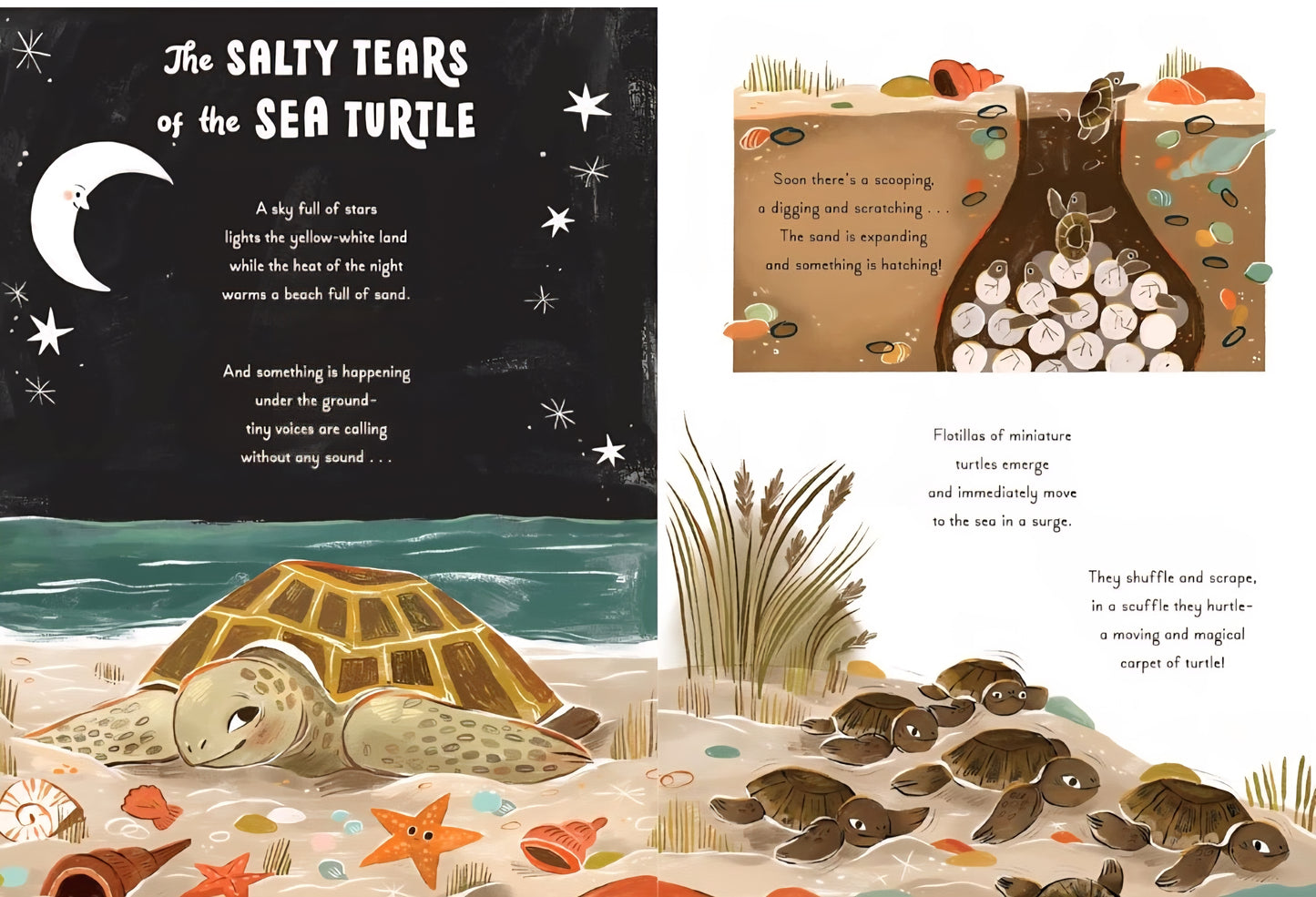 Ocean Life Book Bundle
