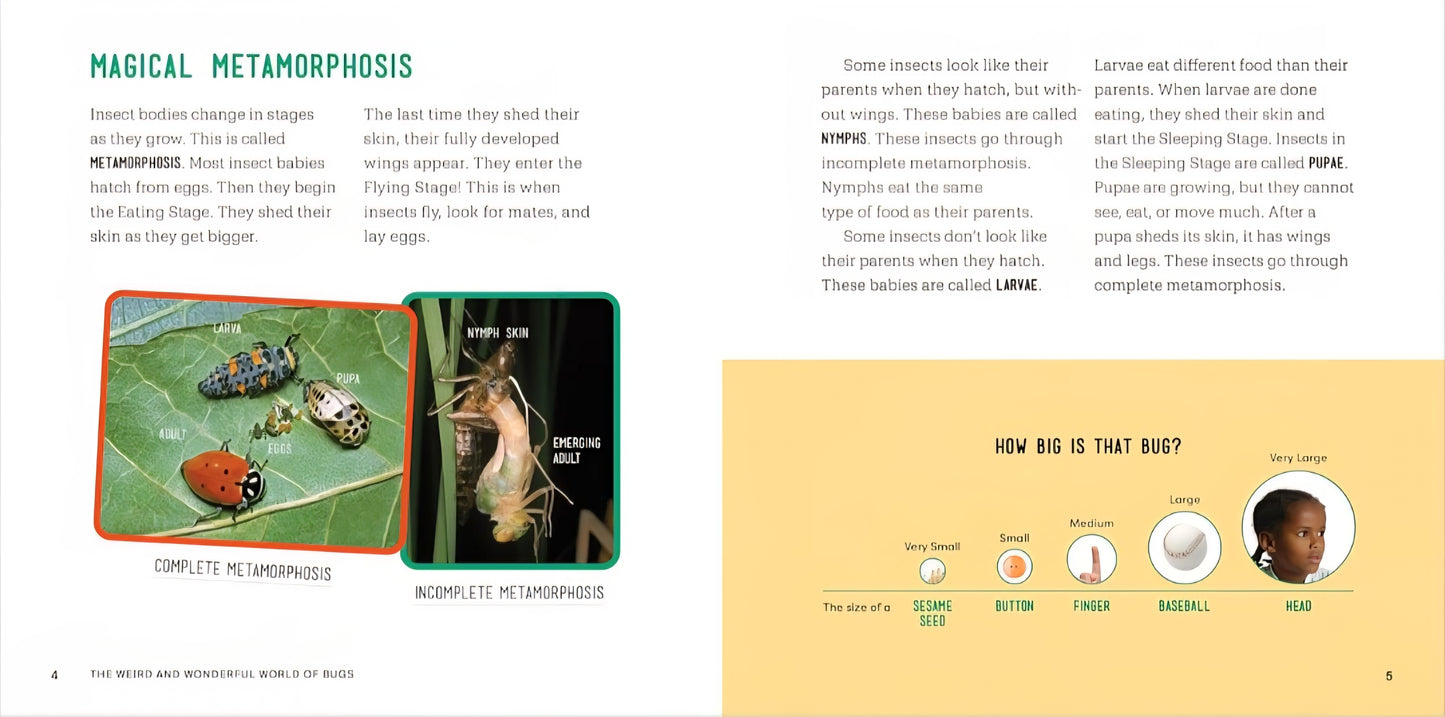 Insects and Bugs Book Bundle
