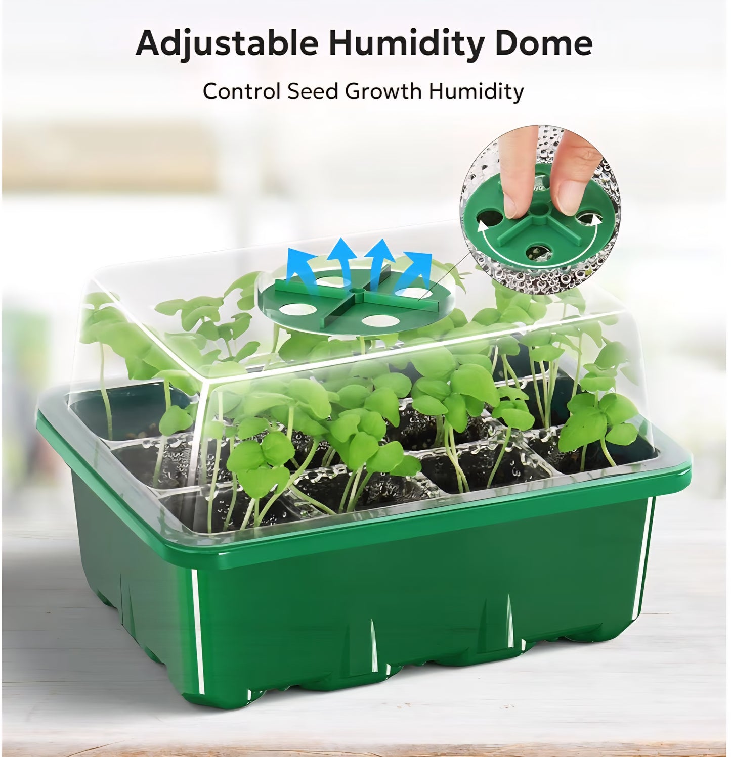 Seed Starting Kit