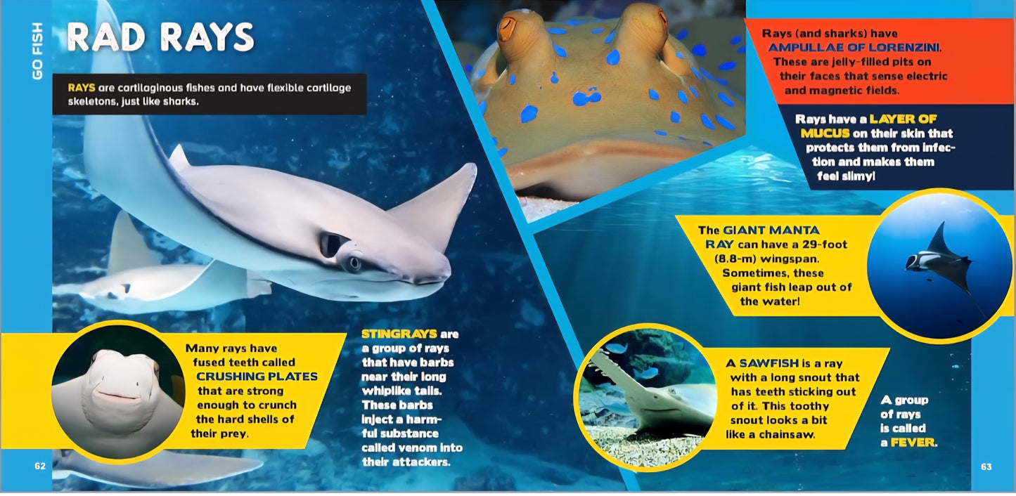Ocean Life Book Bundle