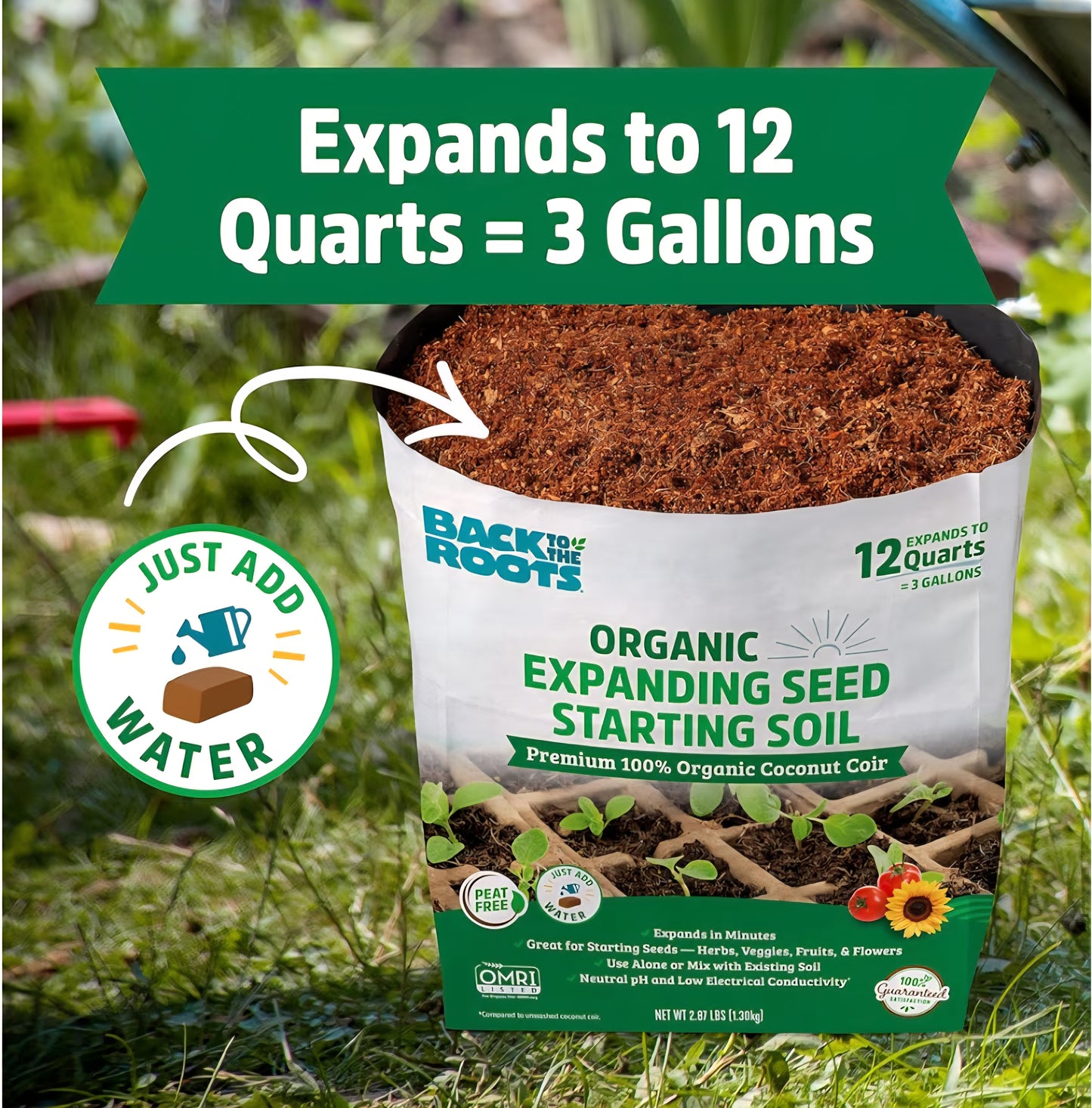 Seed Starting Kit