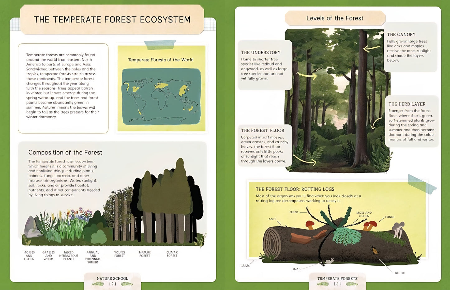 Nature School